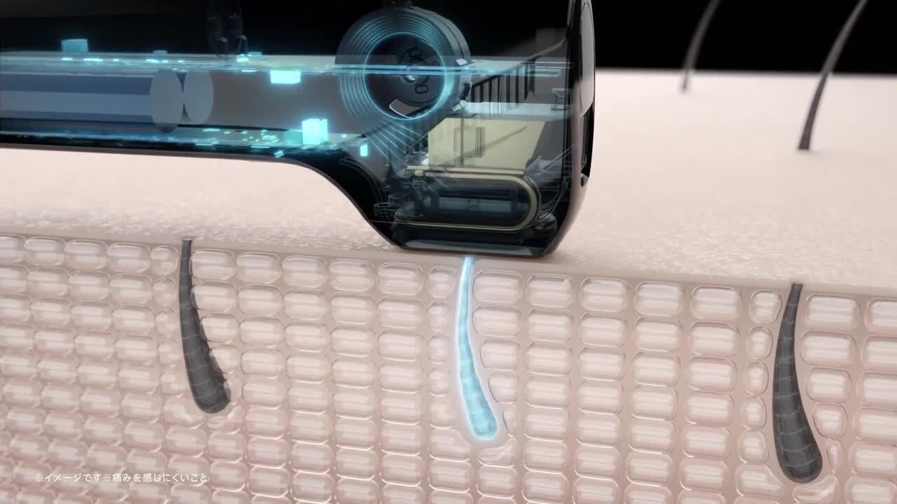 楽天市場】【10/14 19:59迄25%OFFクーポン！】リンチーリン愛用